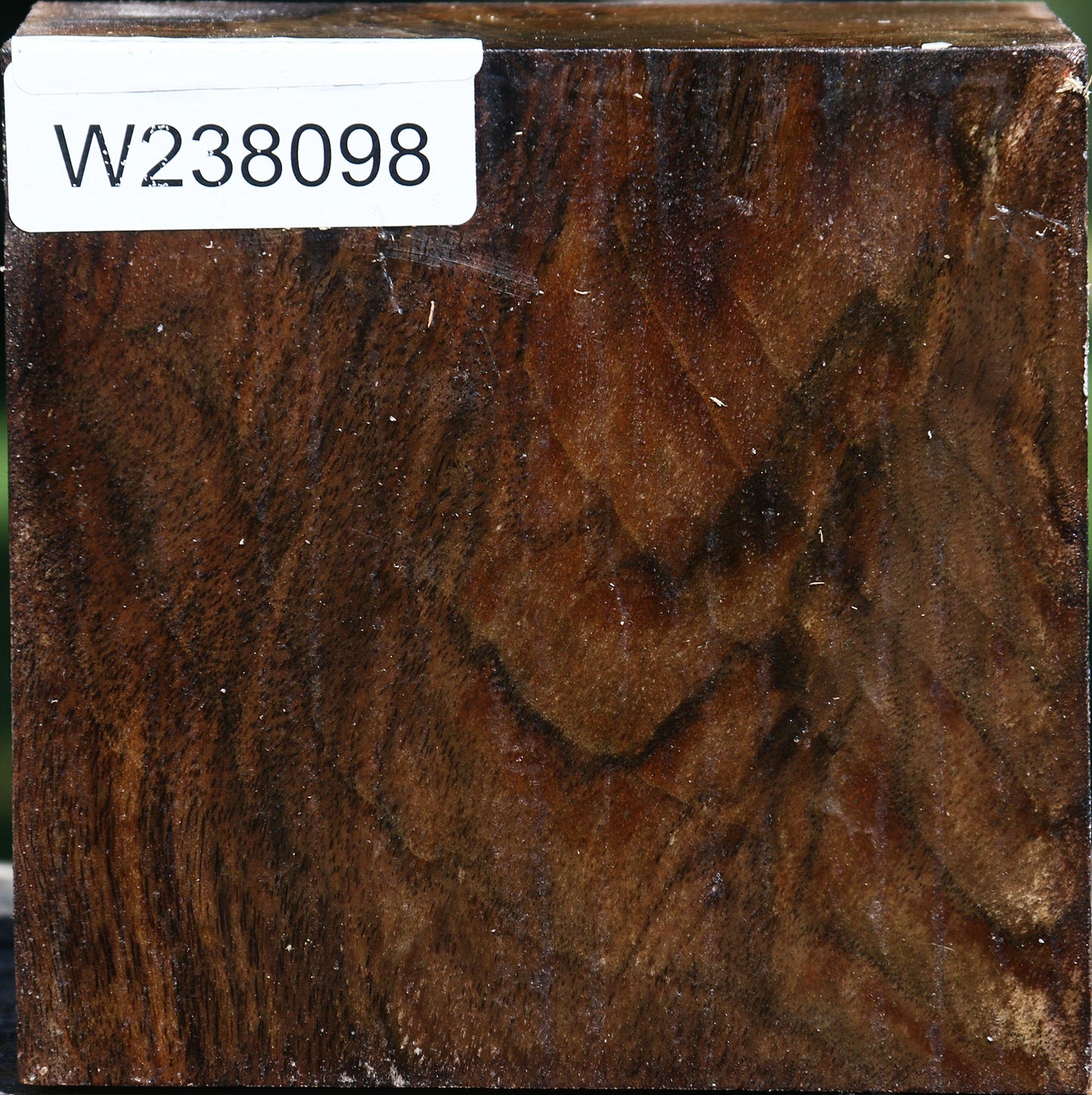 Figured Claro Walnut Bowl Blank