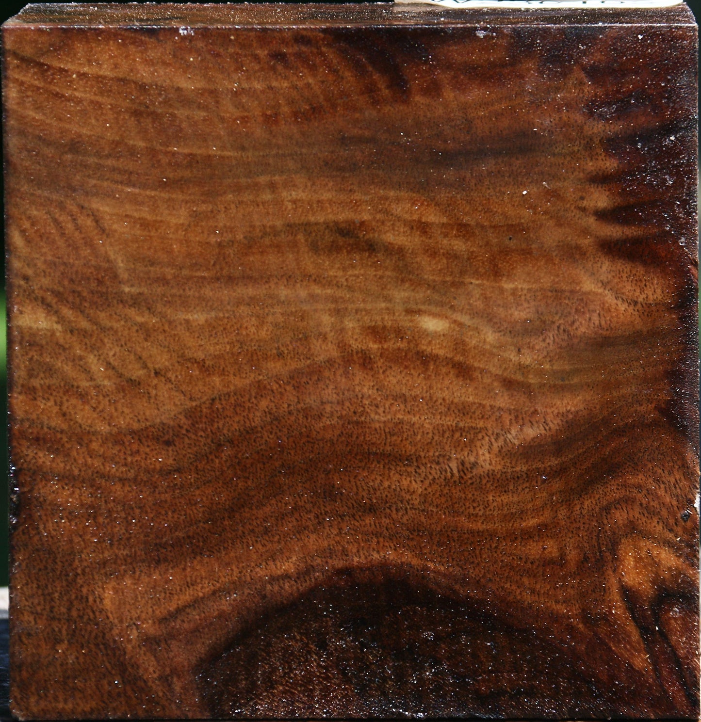 Claro Walnut Bowl Blank