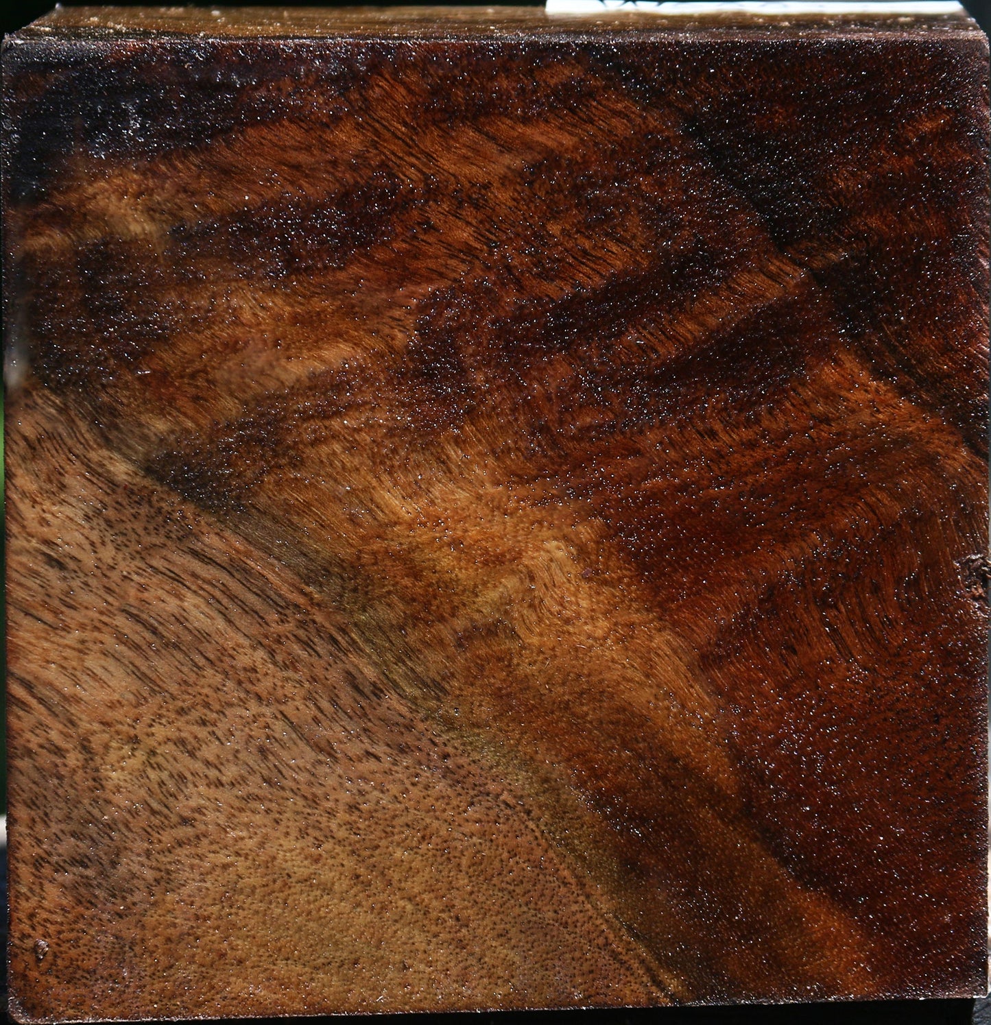 Figured Claro Walnut Bowl Blank