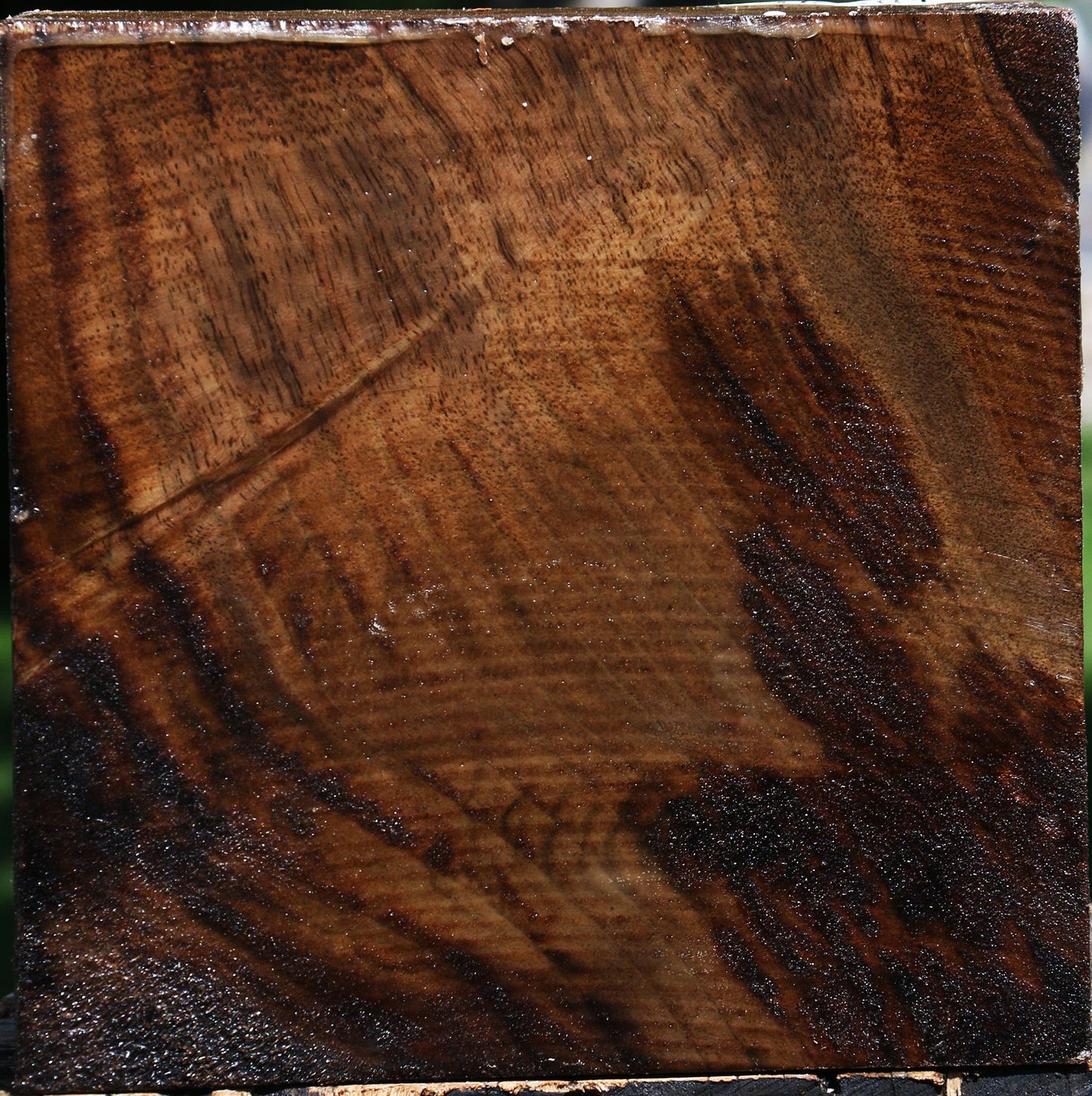 Figured Claro Walnut Bowl Blank