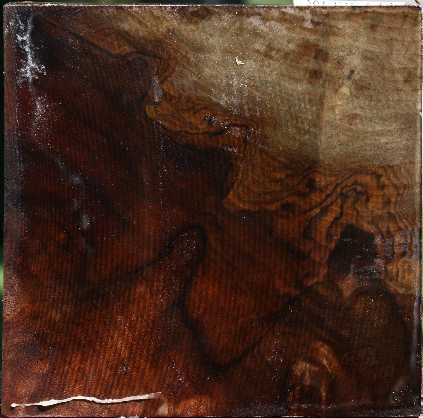 Extra Fancy Claro Walnut Bowl Blank