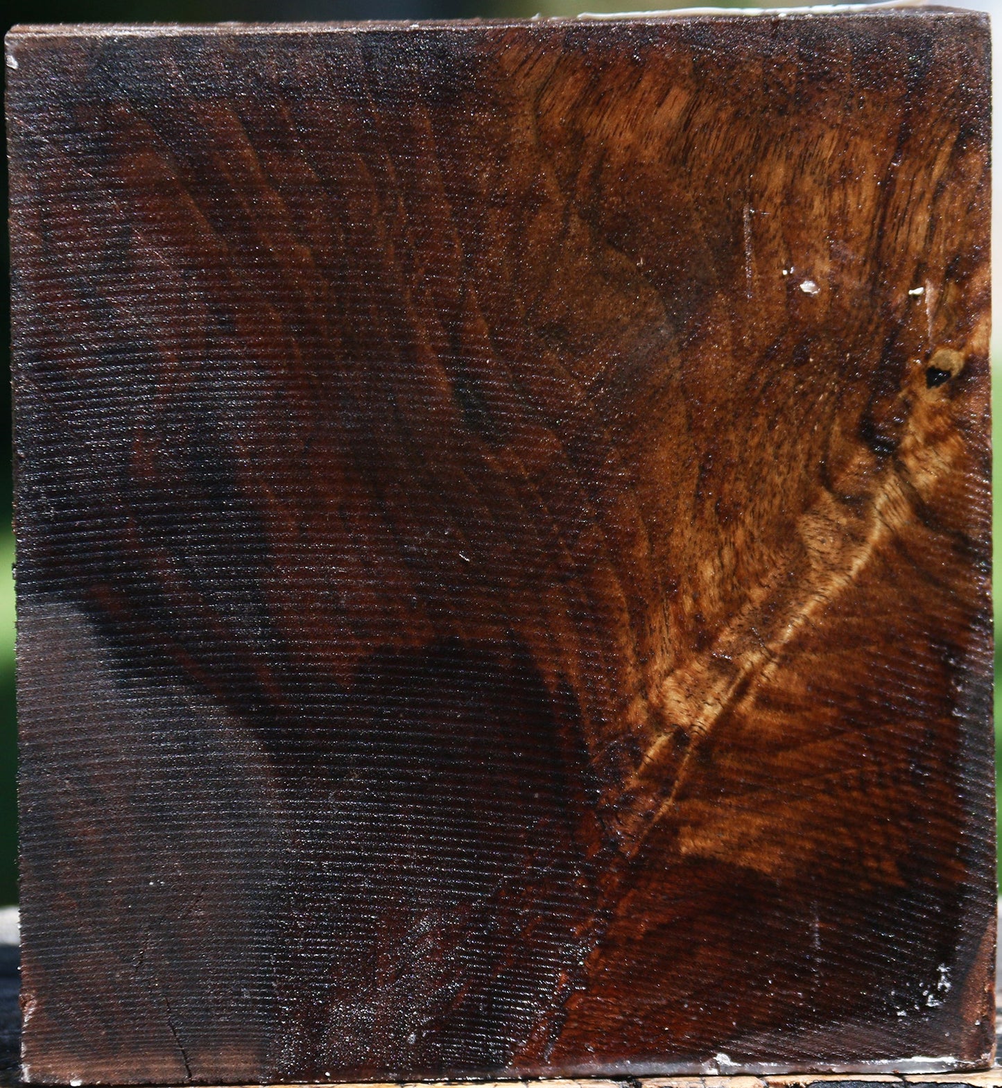 Figured Claro Walnut Bowl Blank