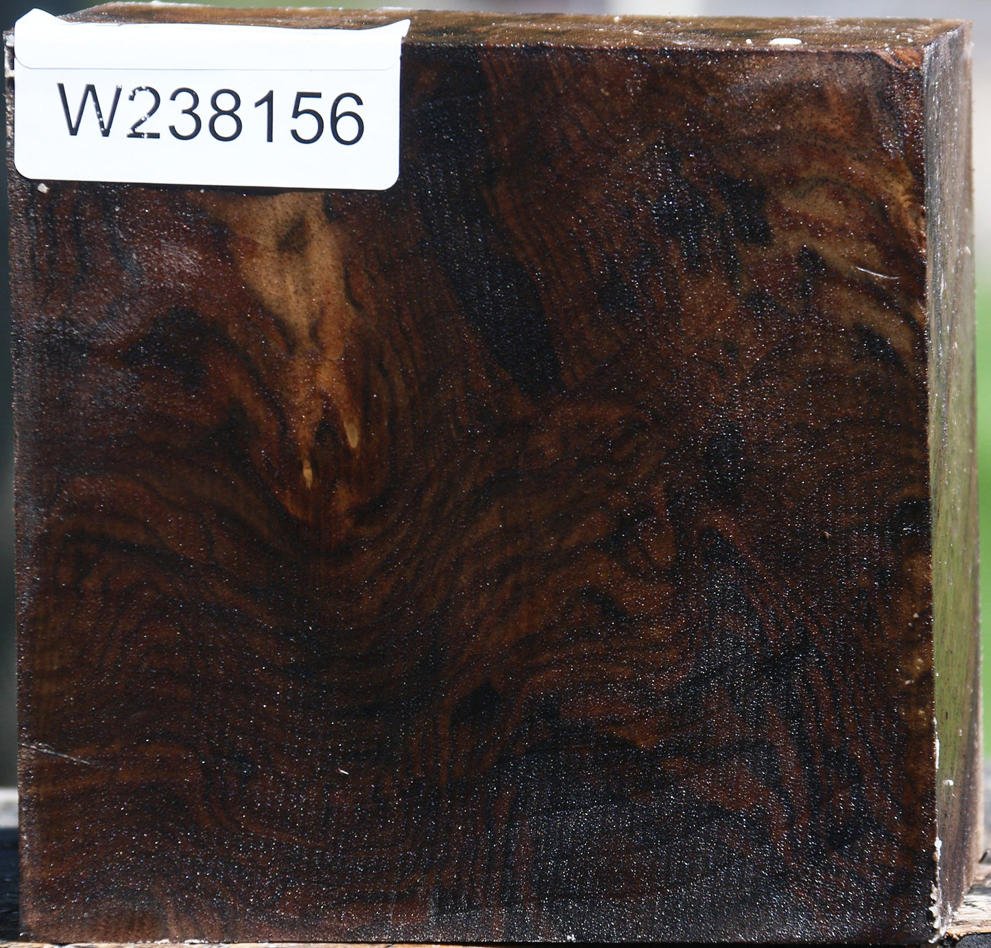 Claro Walnut Bowl Blank