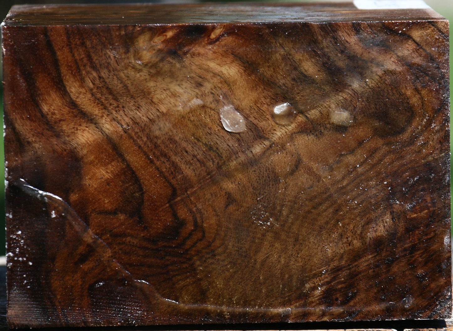 Extra Fancy Claro Walnut Bowl Blank