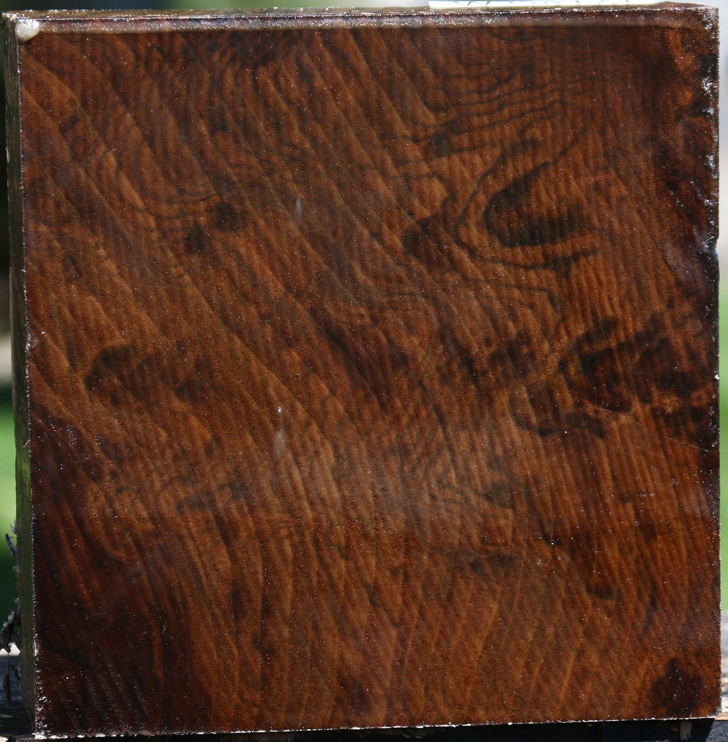 Figured Claro Walnut Bowl Blank