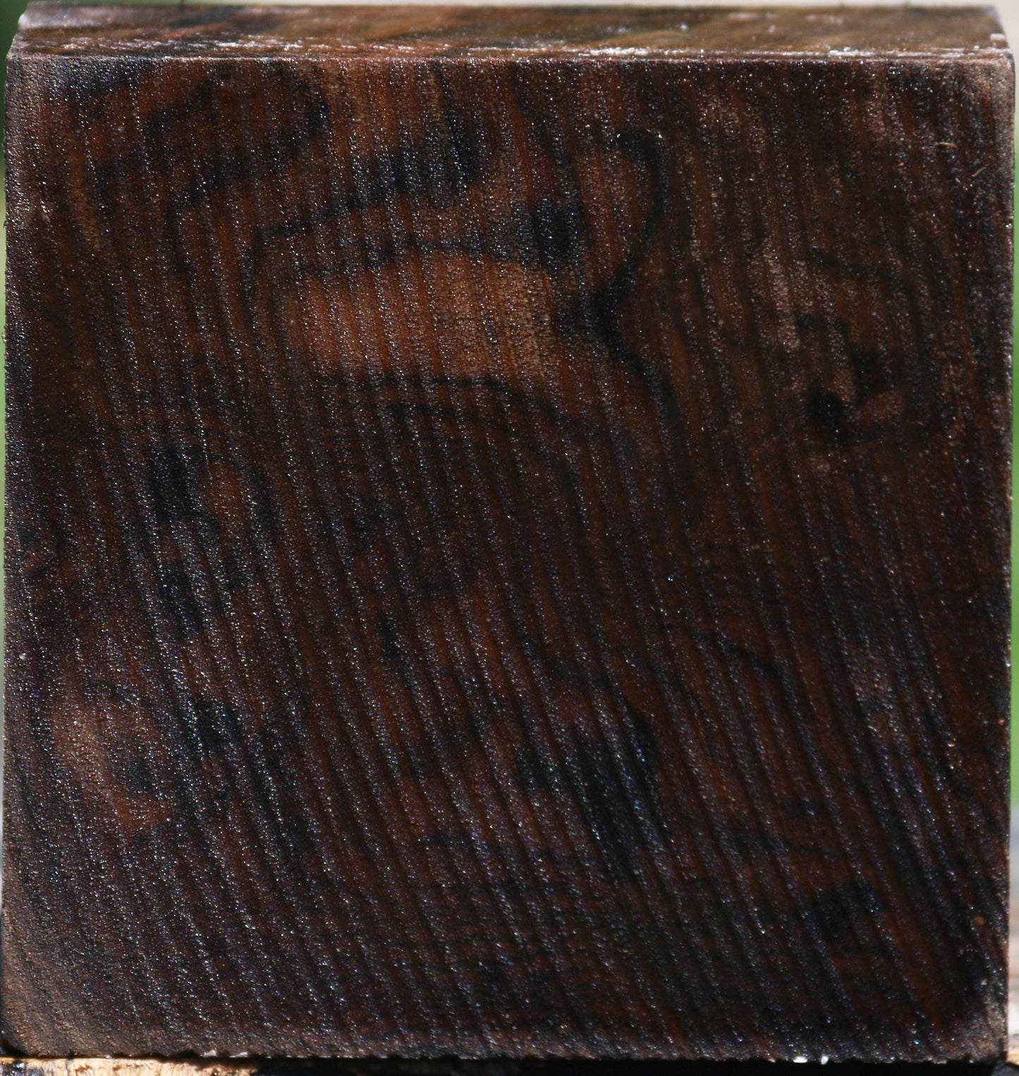 Claro Walnut Bowl Blank