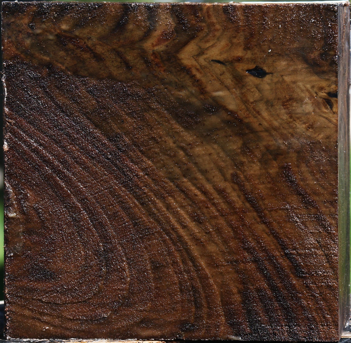 Claro Walnut Bowl Blank