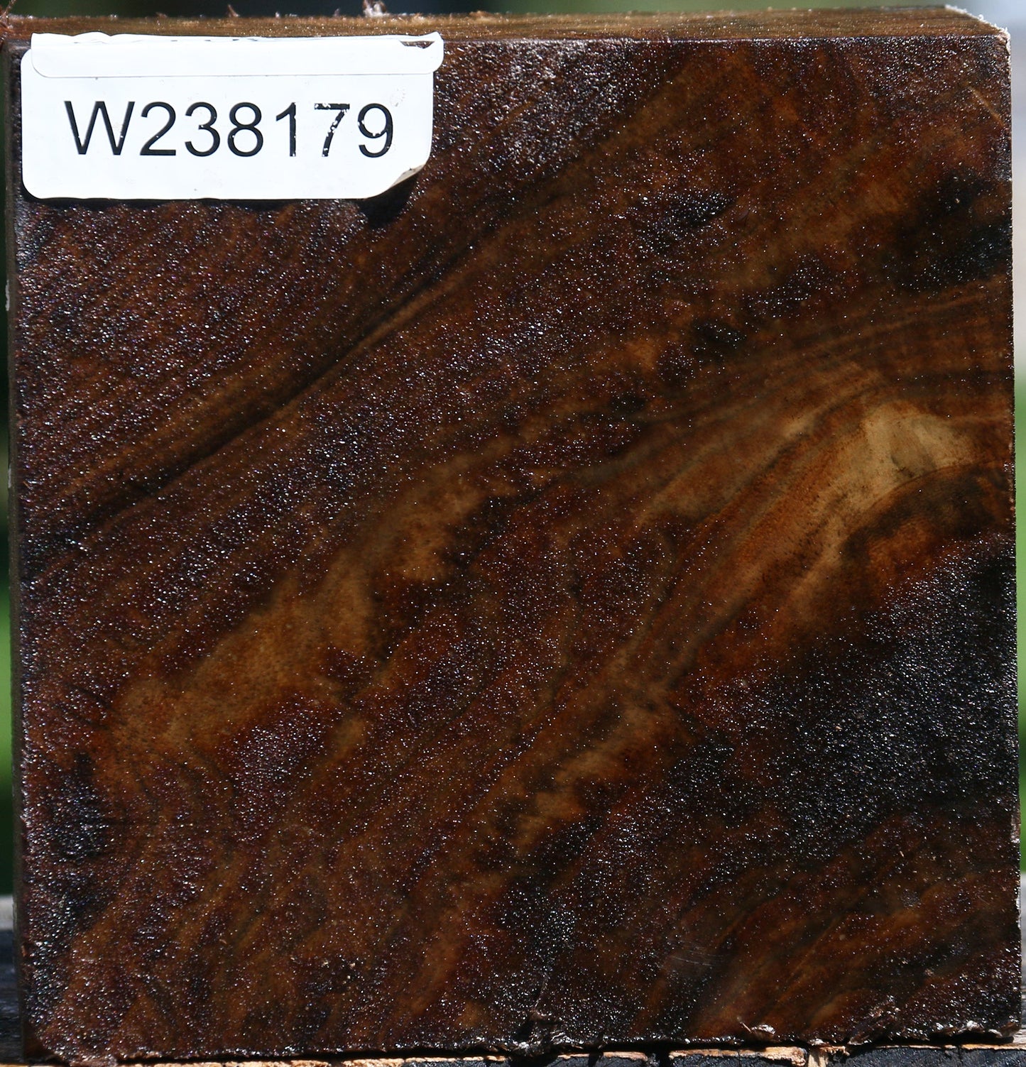 Claro Walnut Bowl Blank