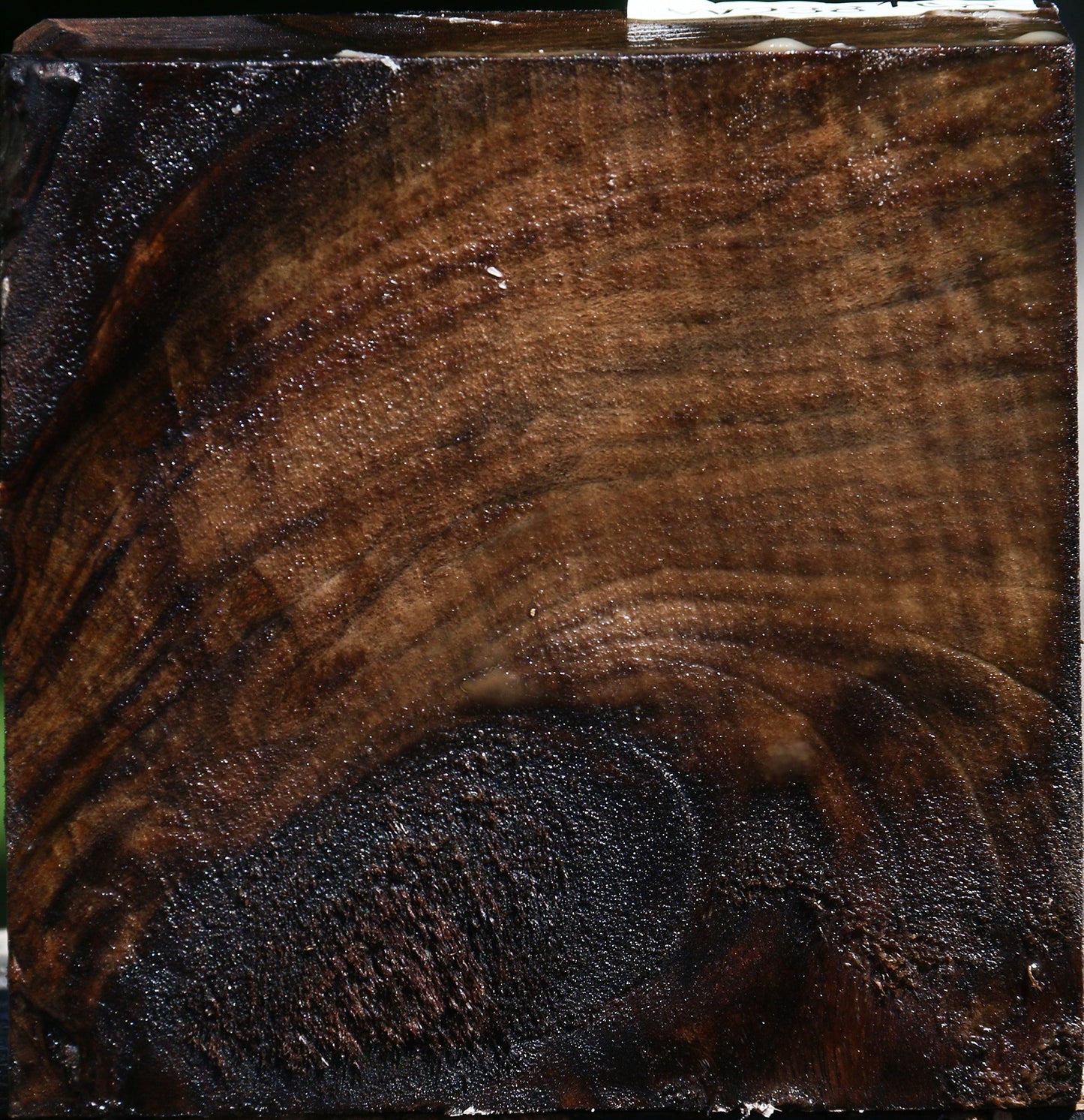 Figured Claro Walnut Bowl Blank