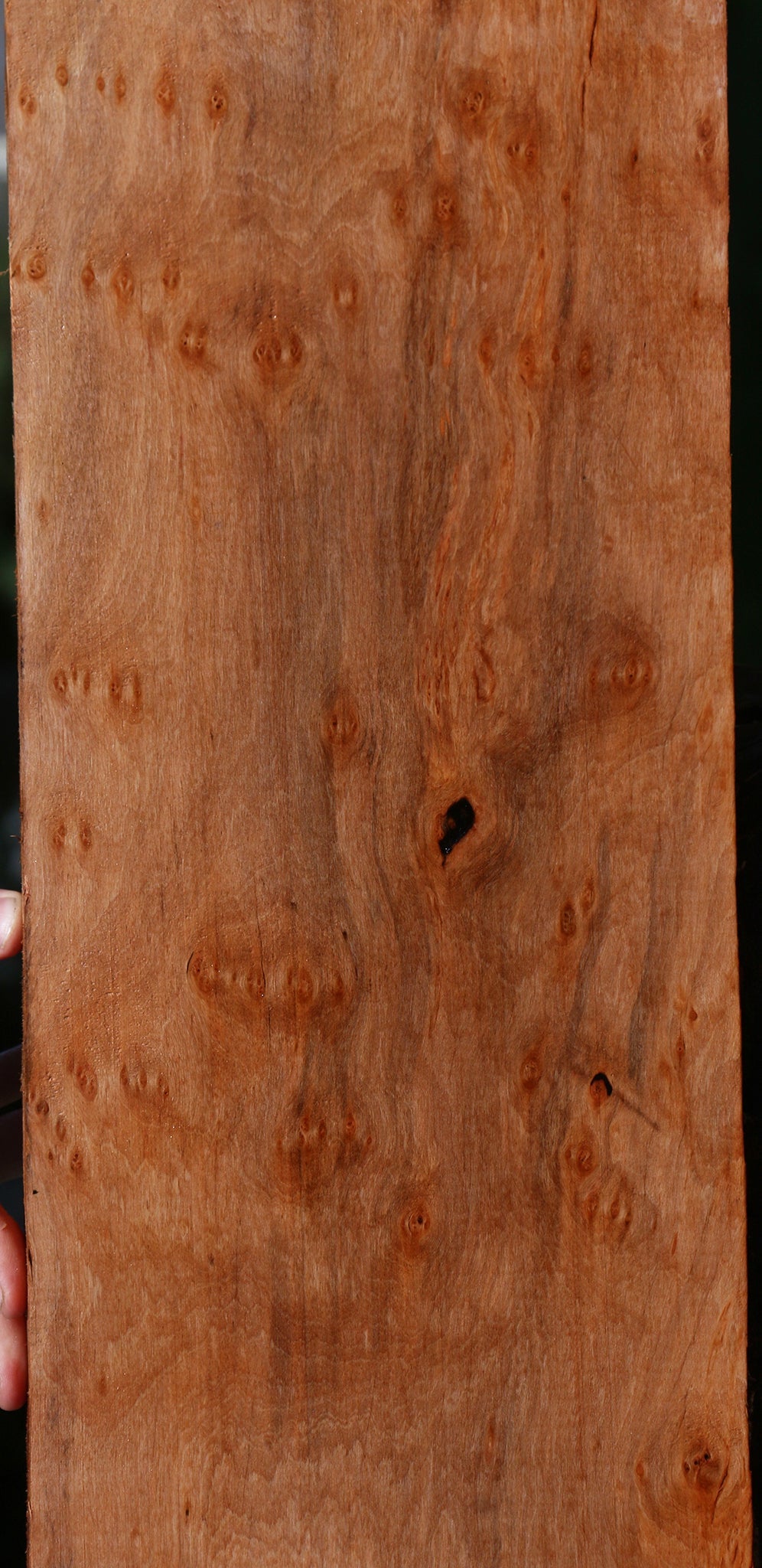 Extra Fancy Jackalberry Ebony Lumber