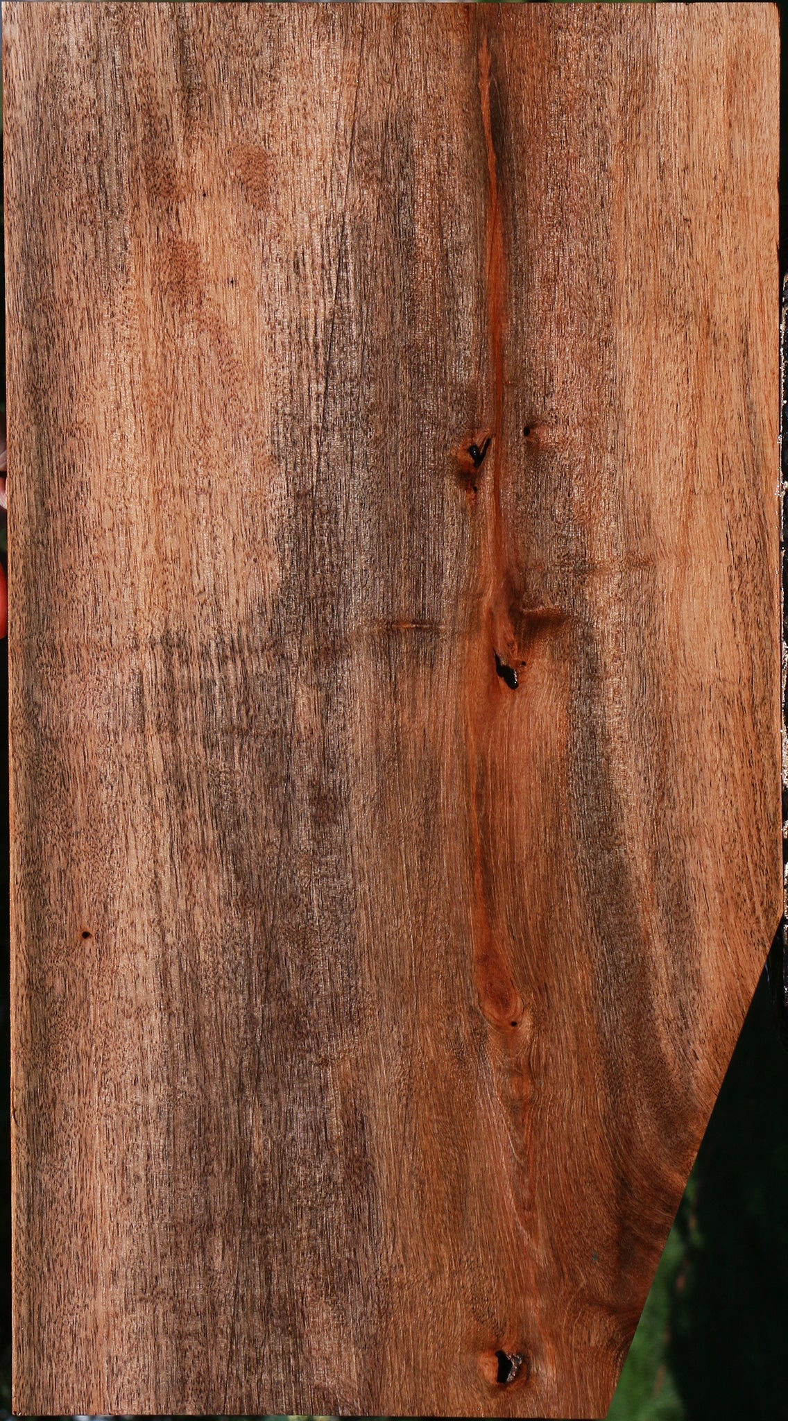 Jackalberry Ebony Lumber
