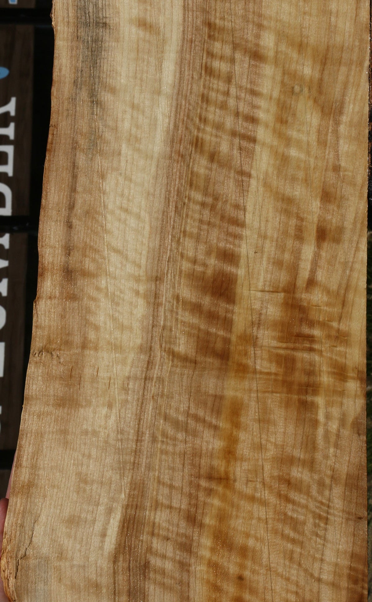 Extra Fancy Black Cottonwood Live Edge Lumber