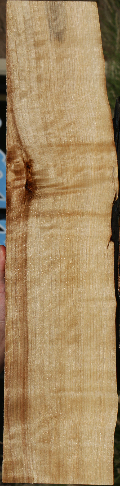 Figured Black Cottonwood Live Edge Lumber