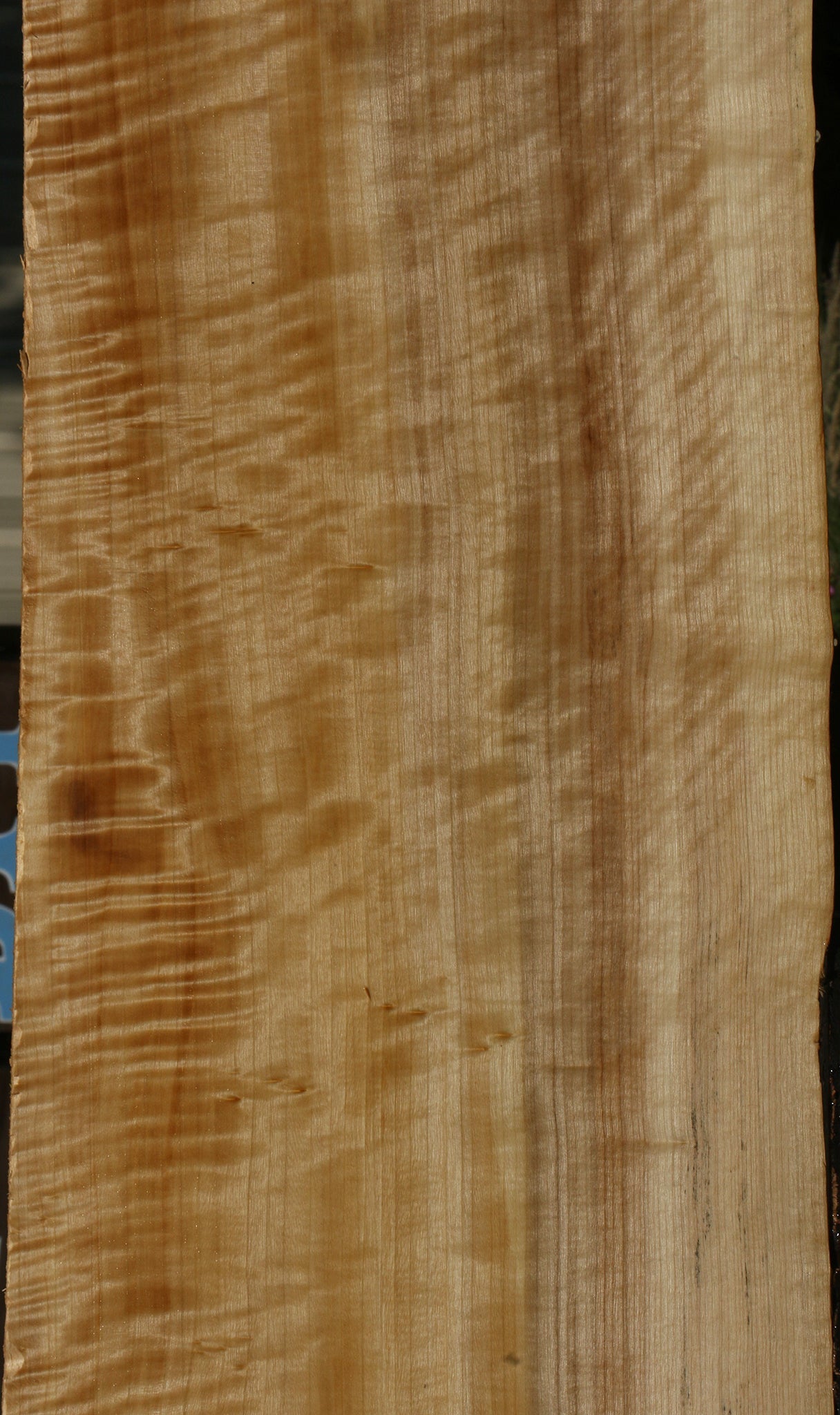 Extra Fancy Black Cottonwood Live Edge Lumber