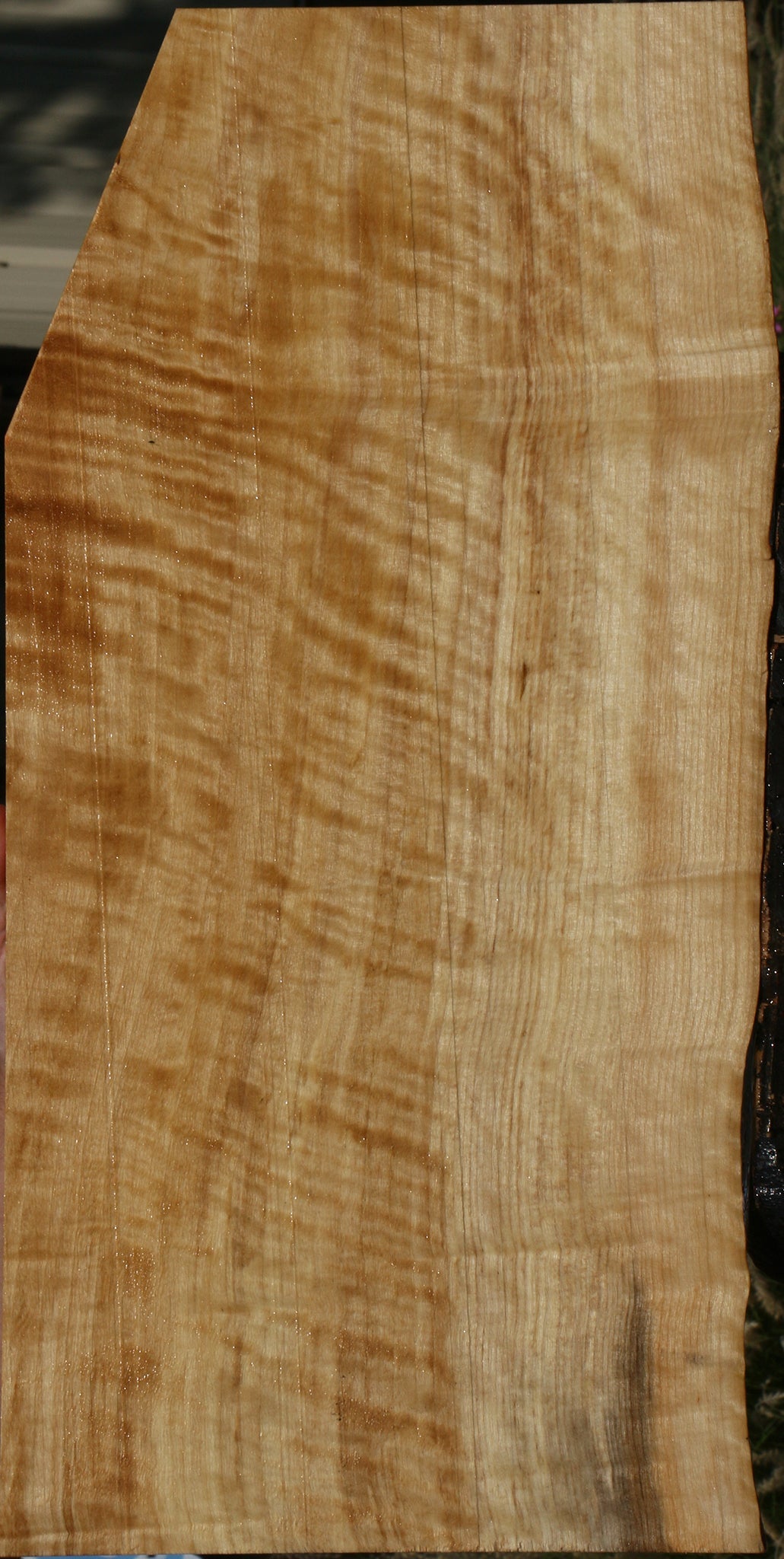 Extra Fancy Black Cottonwood Live Edge Lumber