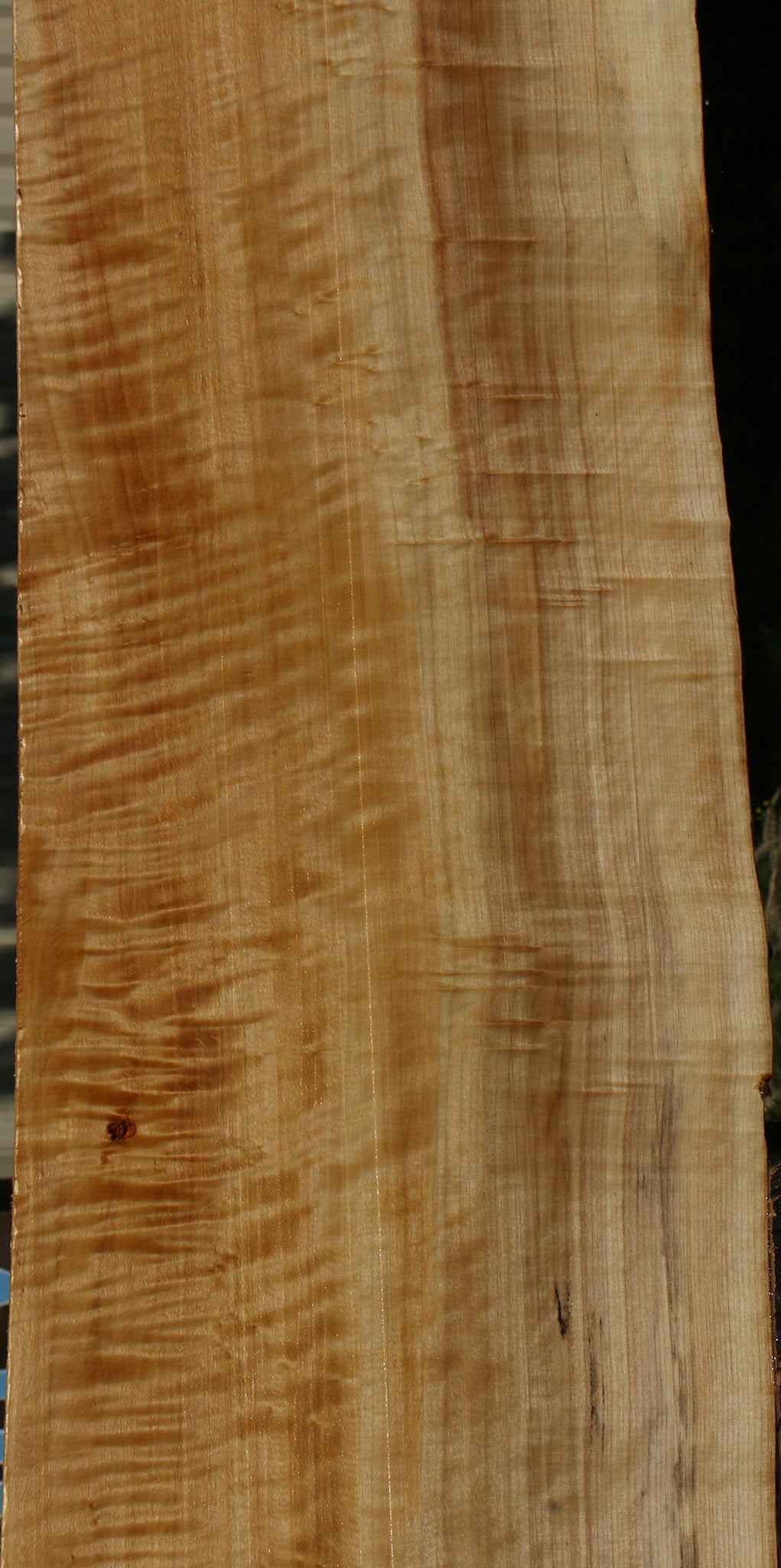 Extra Fancy Black Cottonwood Live Edge Lumber