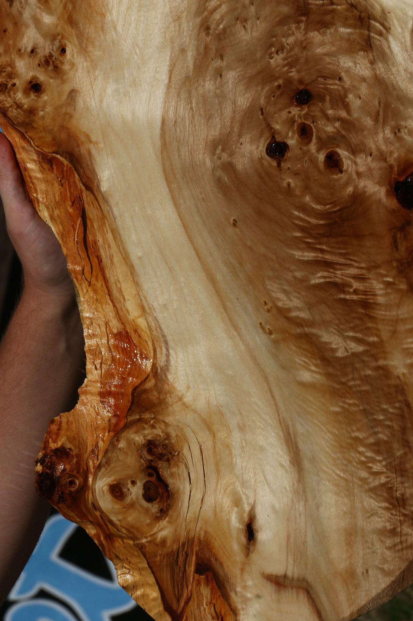 Figured Rustic Black Cottonwood Live Edge Lumber