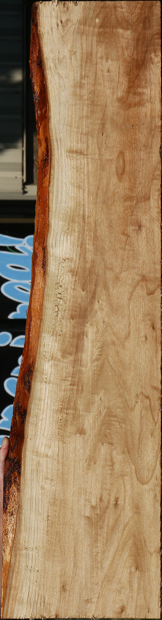 Figured Black Cottonwood Live Edge Lumber