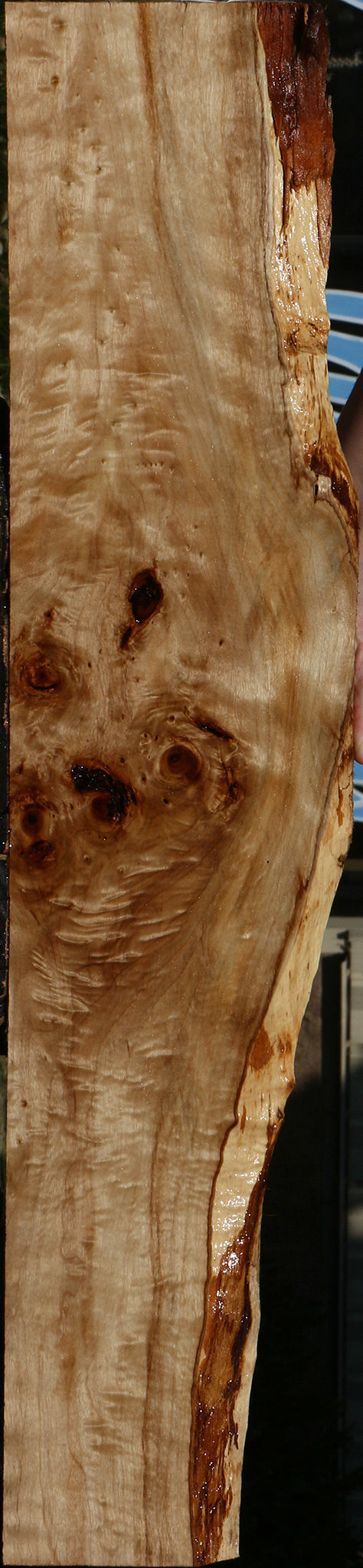 Figured Rustic Black Cottonwood Live Edge Lumber