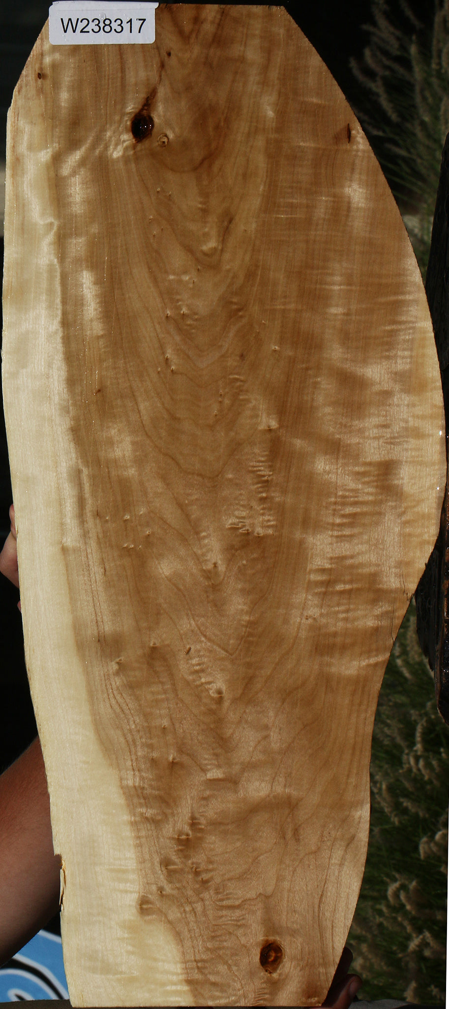Figured Black Cottonwood Lumber