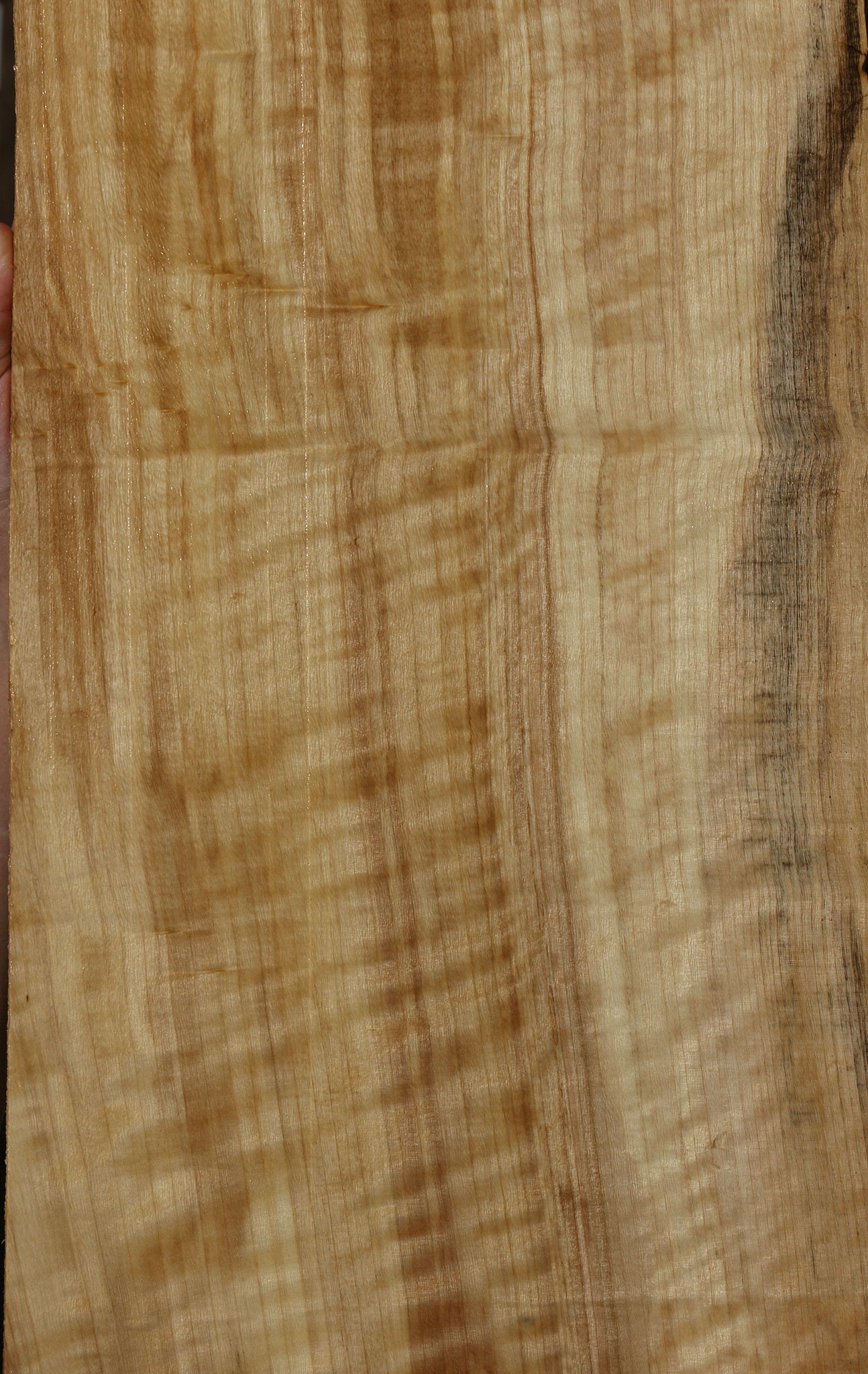 Extra Fancy Black Cottonwood Live Edge Lumber