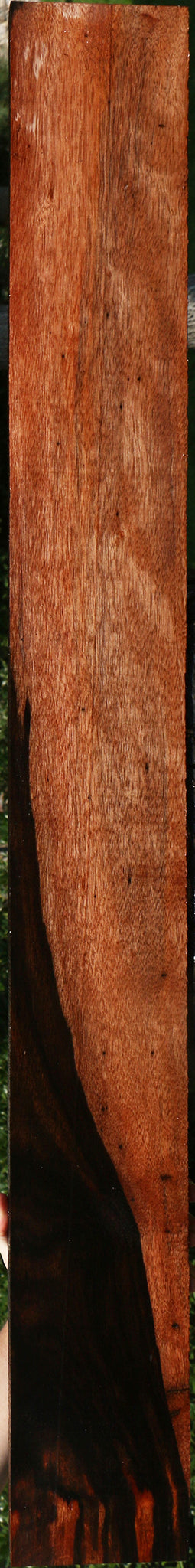 Figured Amara Ebony Lumber