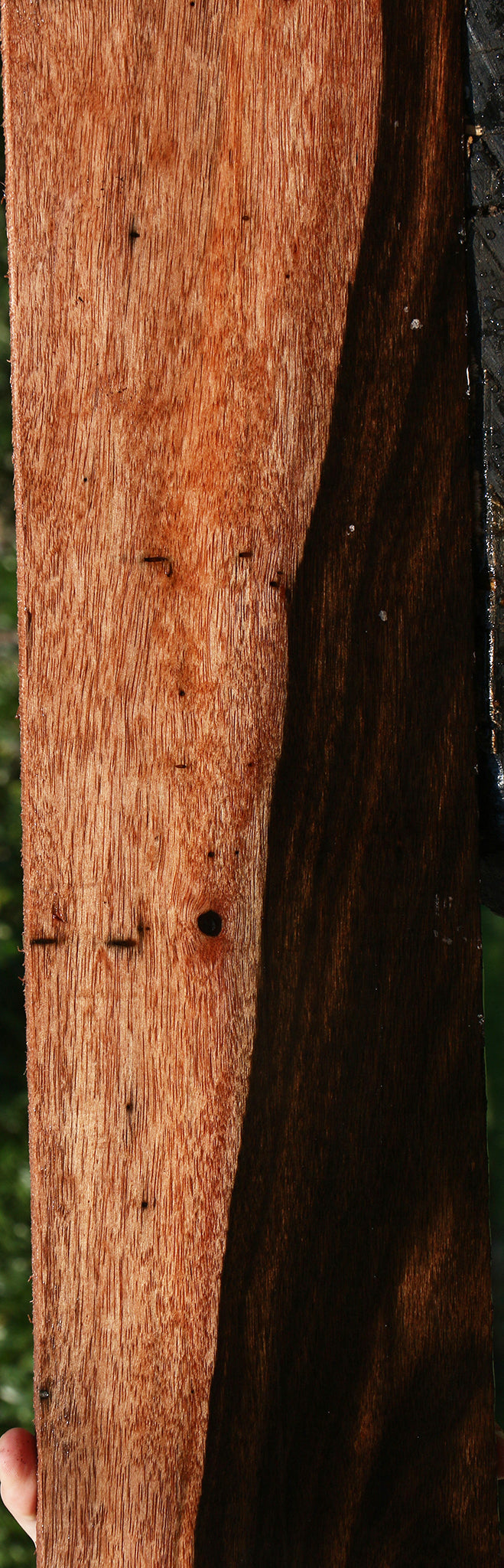 Figured Amara Ebony Lumber