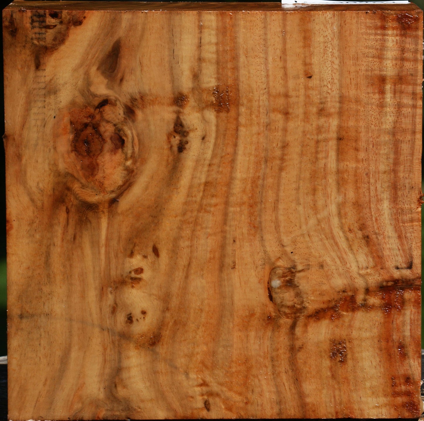 Extra Fancy Carob Bowl Blank