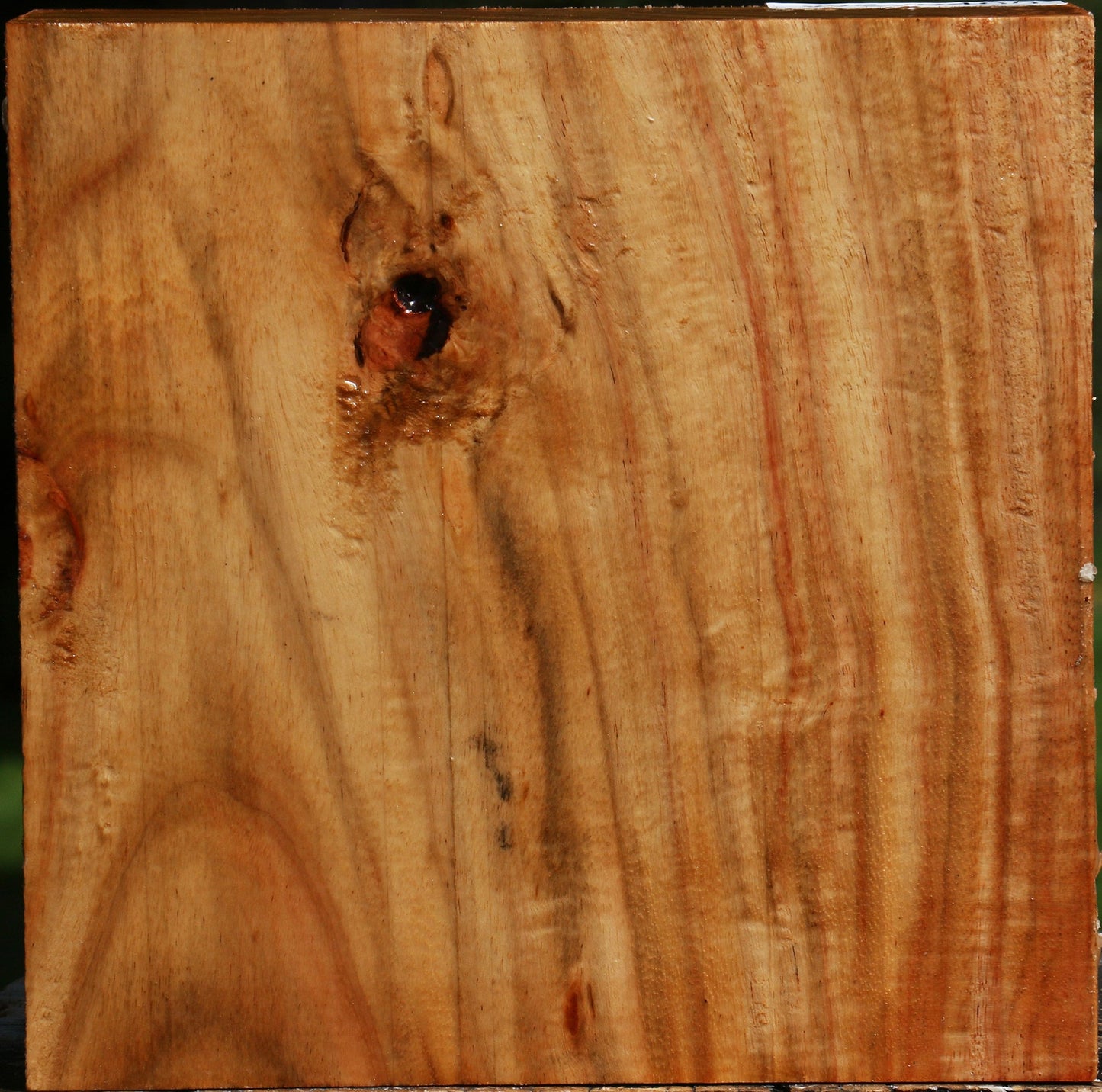 Figured Carob Bowl Blank