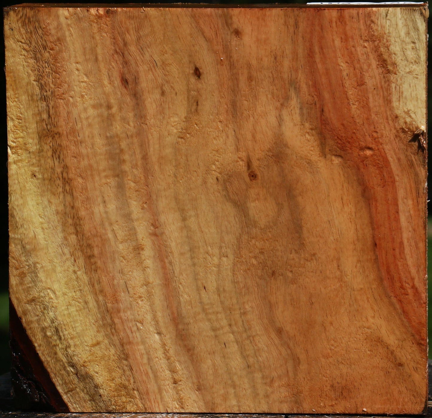 Figured Carob Bowl Blank