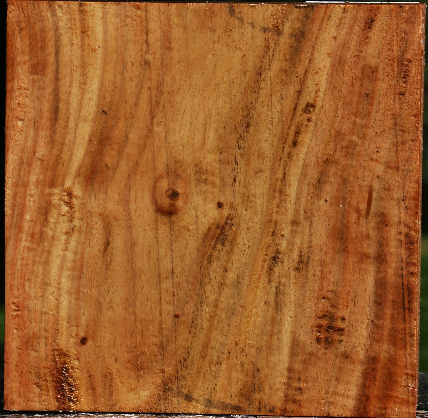 Figured Carob Bowl Blank