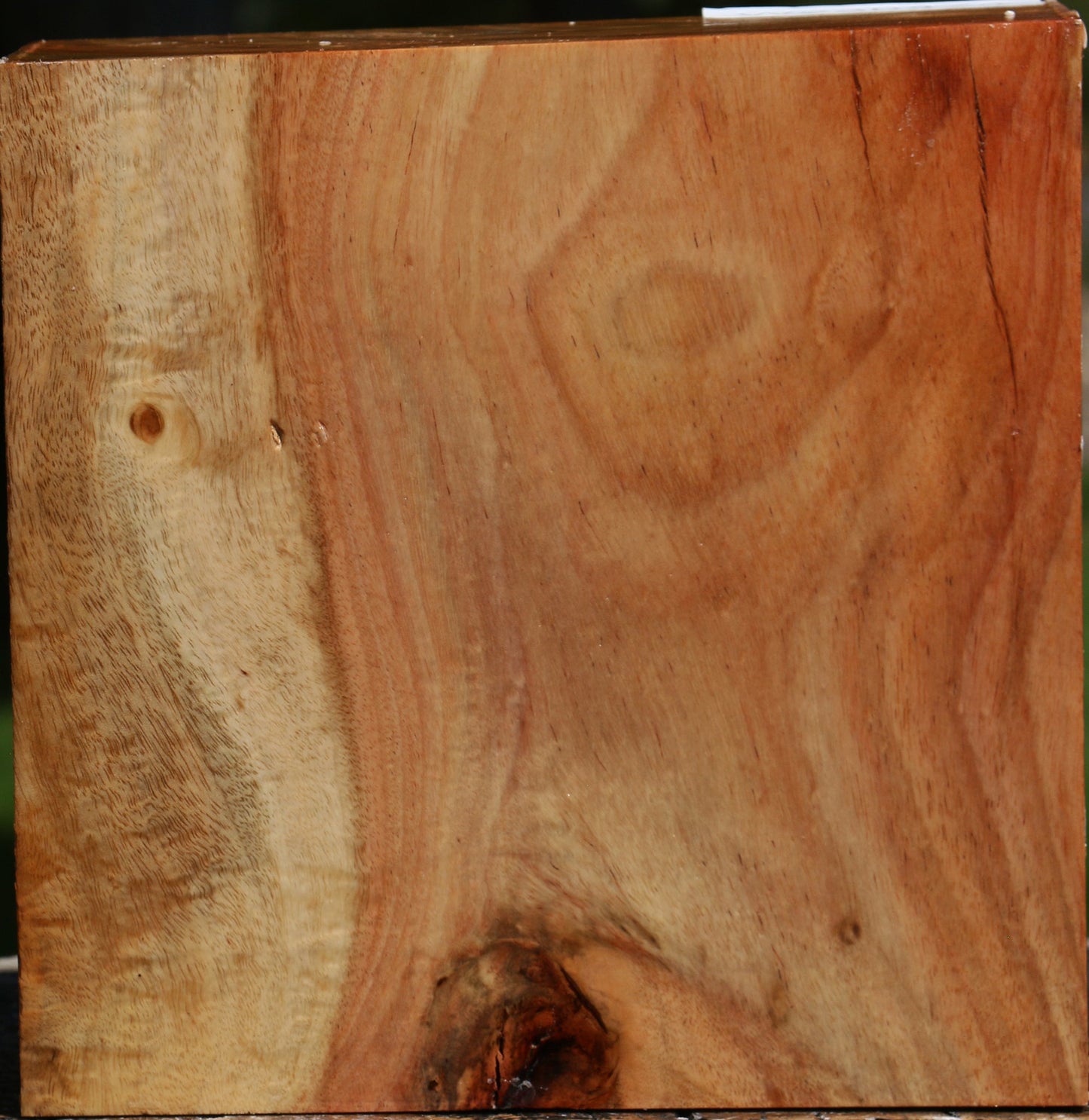 Figured Carob Bowl Blank