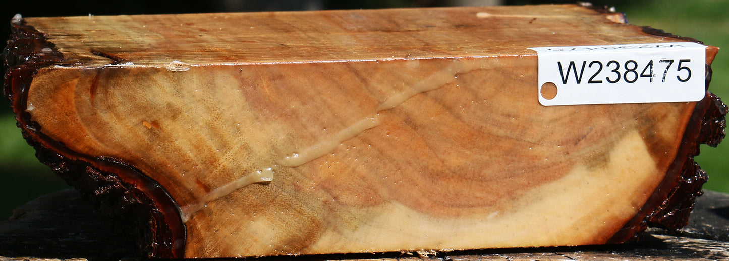 Figured Carob Live Edge Bowl Blank