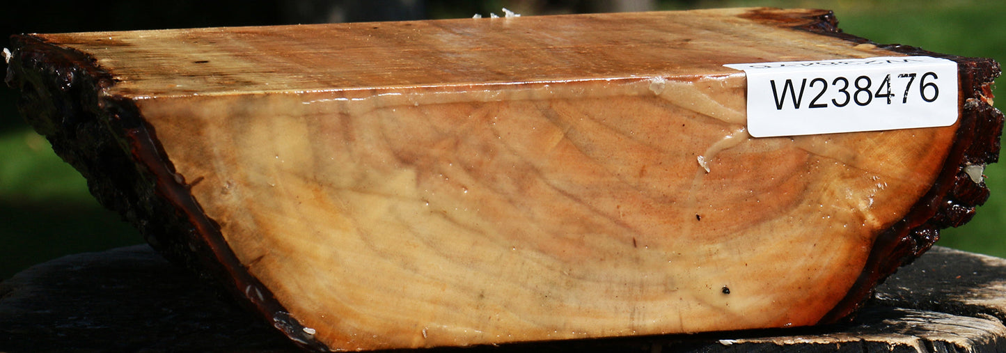 Figured Carob Live Edge Bowl Blank