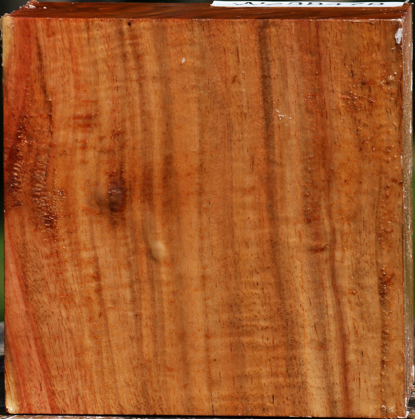 Figured Carob Bowl Blank