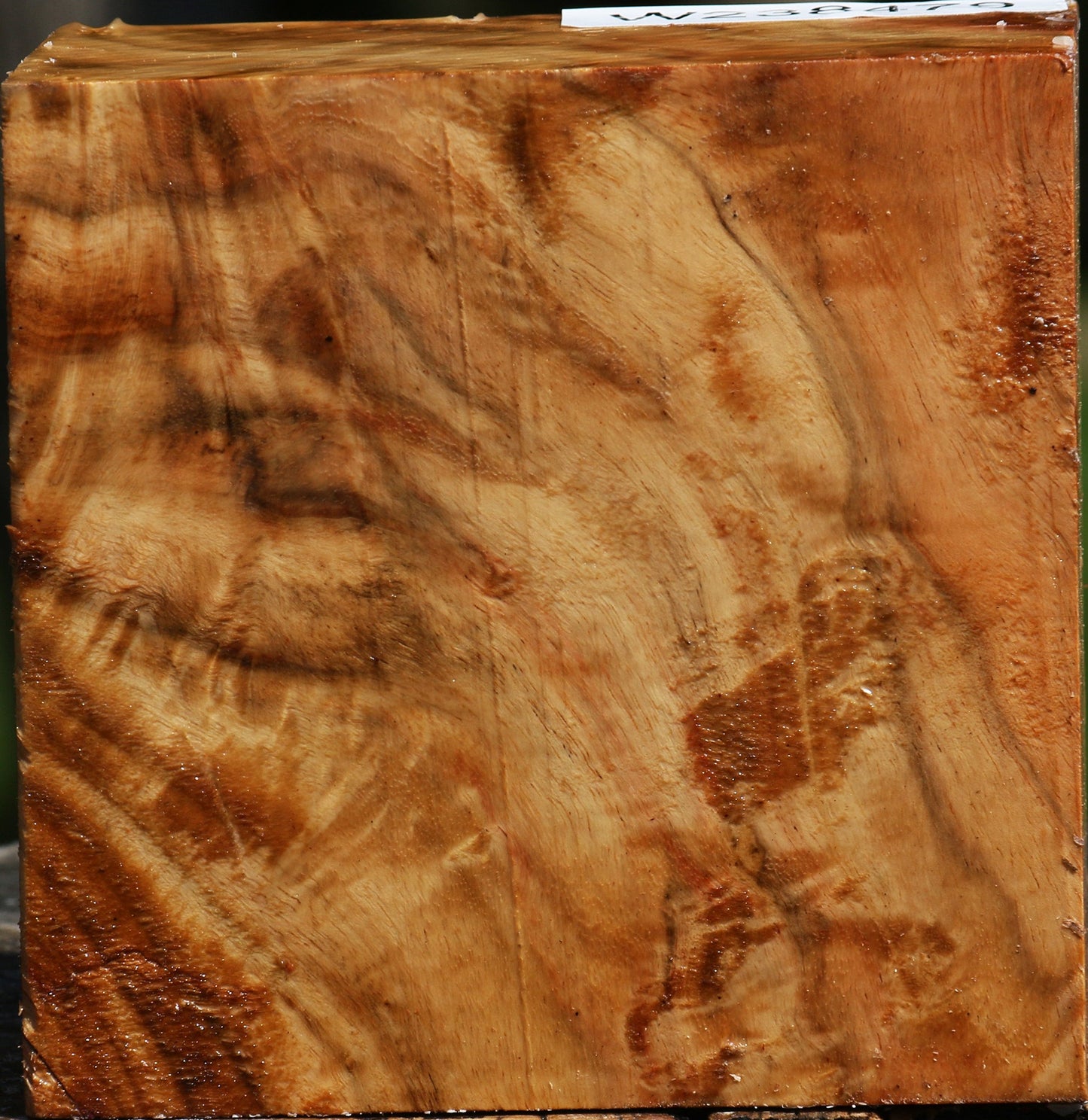 Extra Fancy Carob Bowl Blank