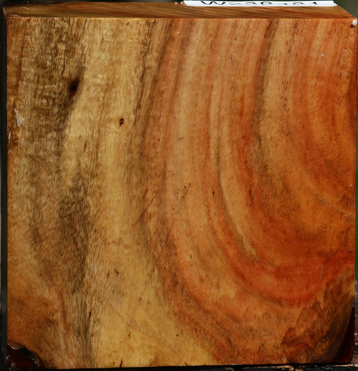 Figured Carob Bowl Blank