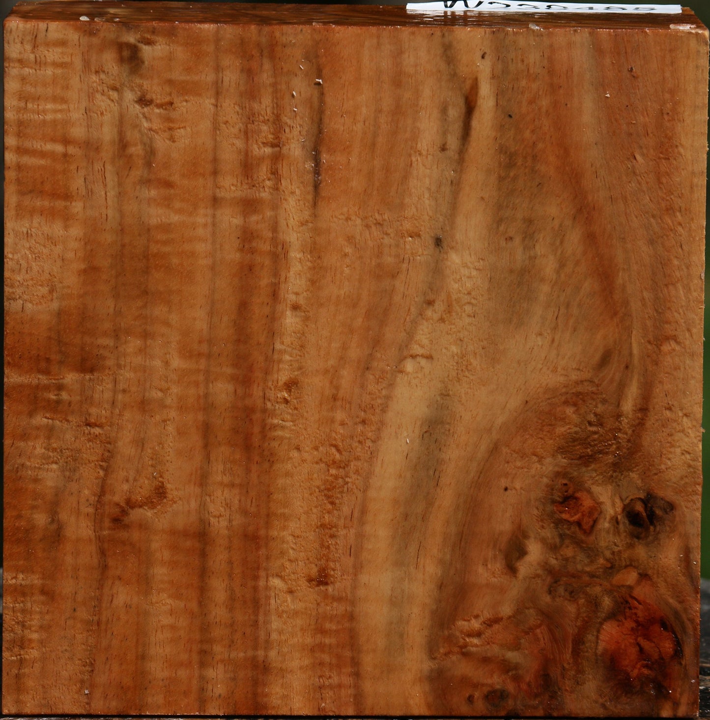 Extra Fancy Carob Bowl Blank