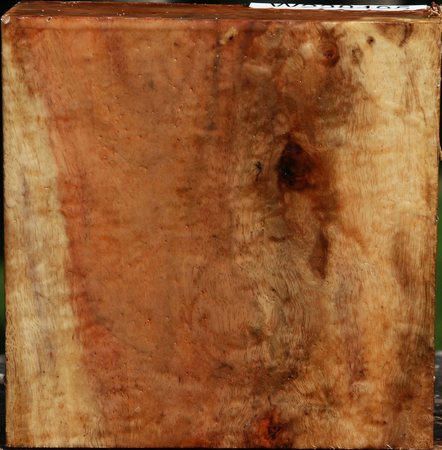 Figured Carob Bowl Blank