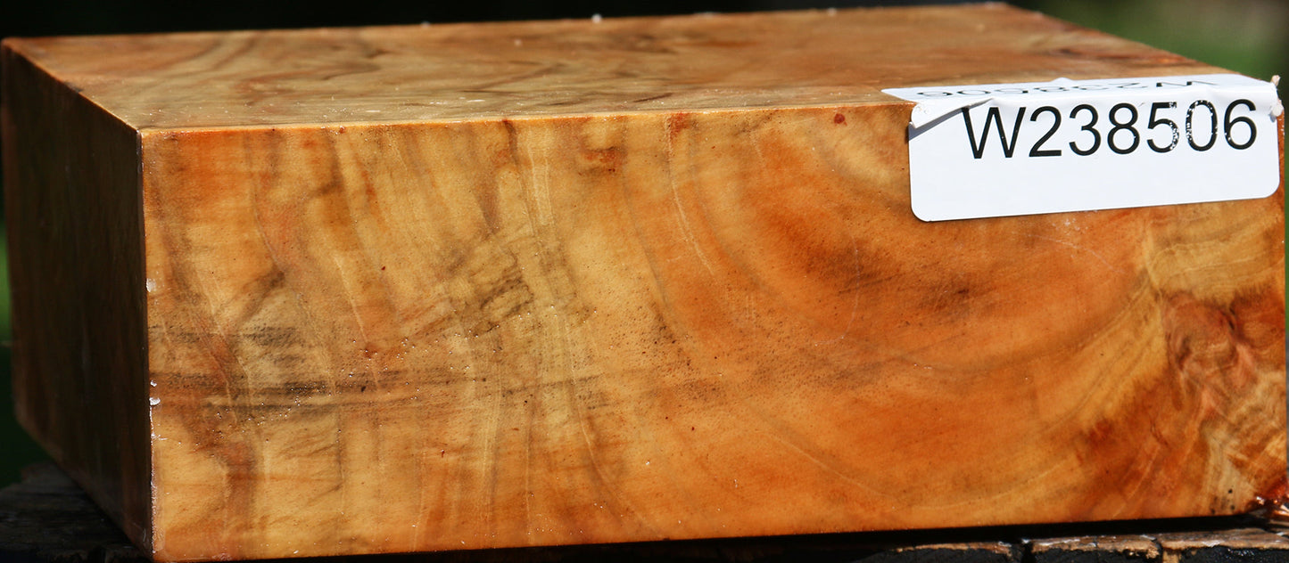 Extra Fancy Carob Bowl Blank