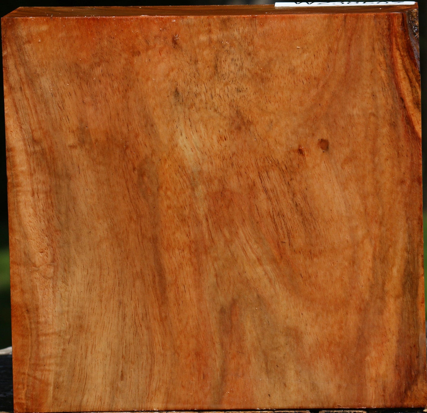 Figured Carob Bowl Blank