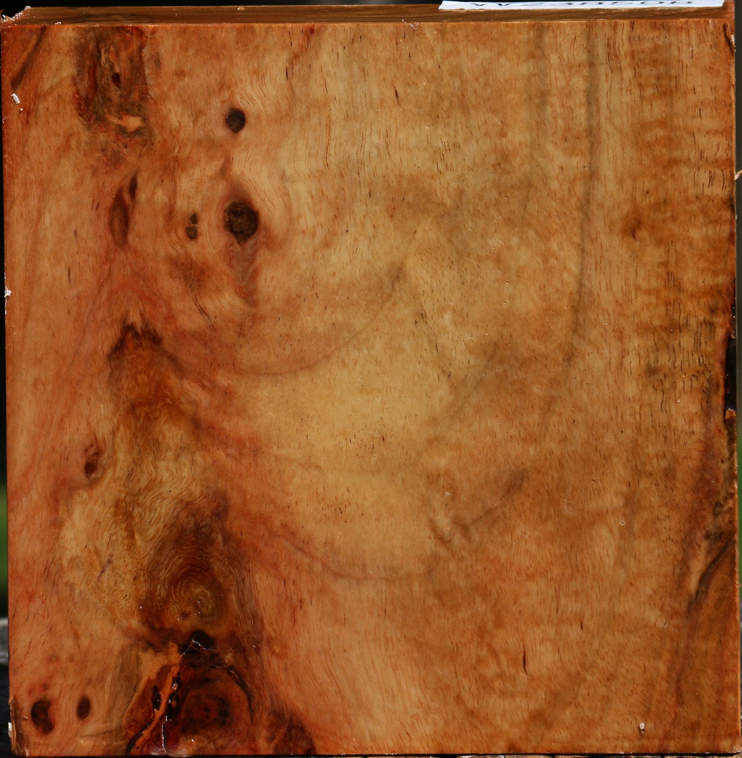 Figured Carob Bowl Blank