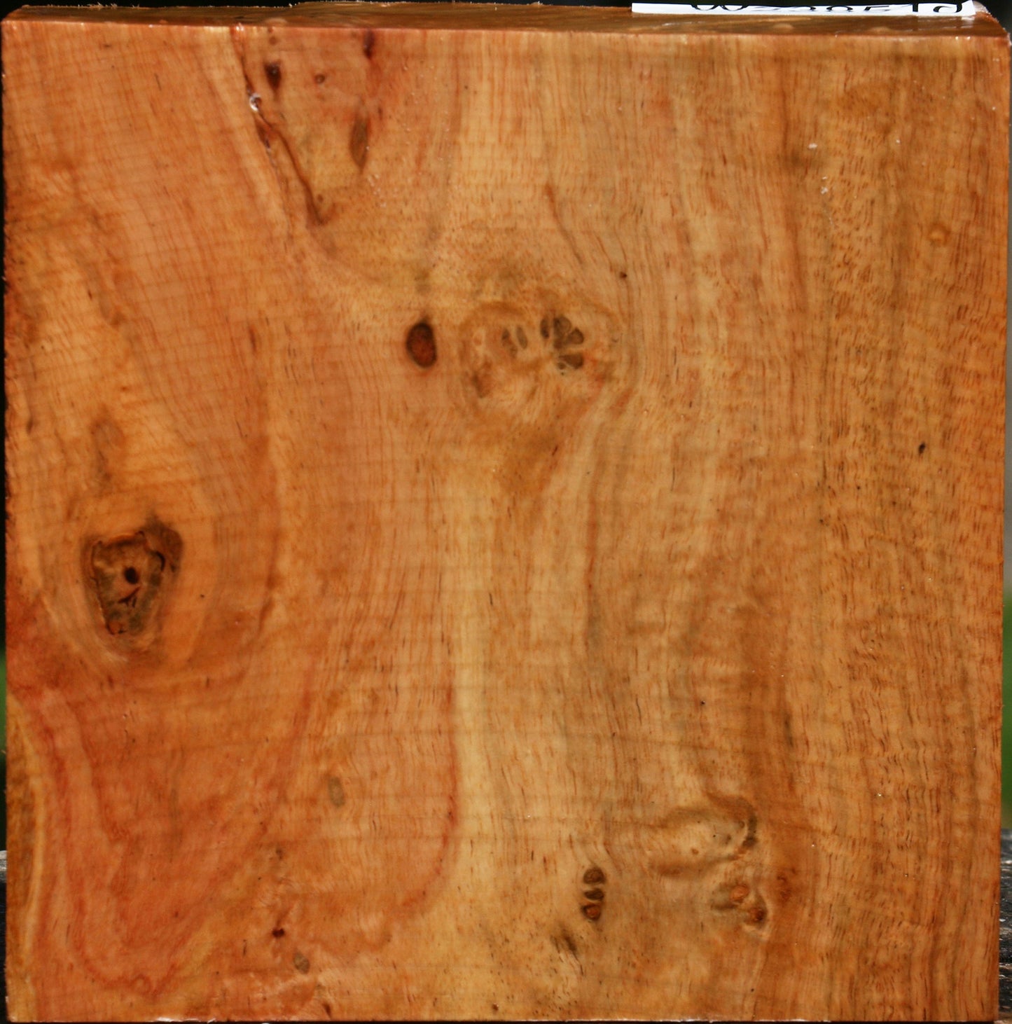 Figured Carob Bowl Blank