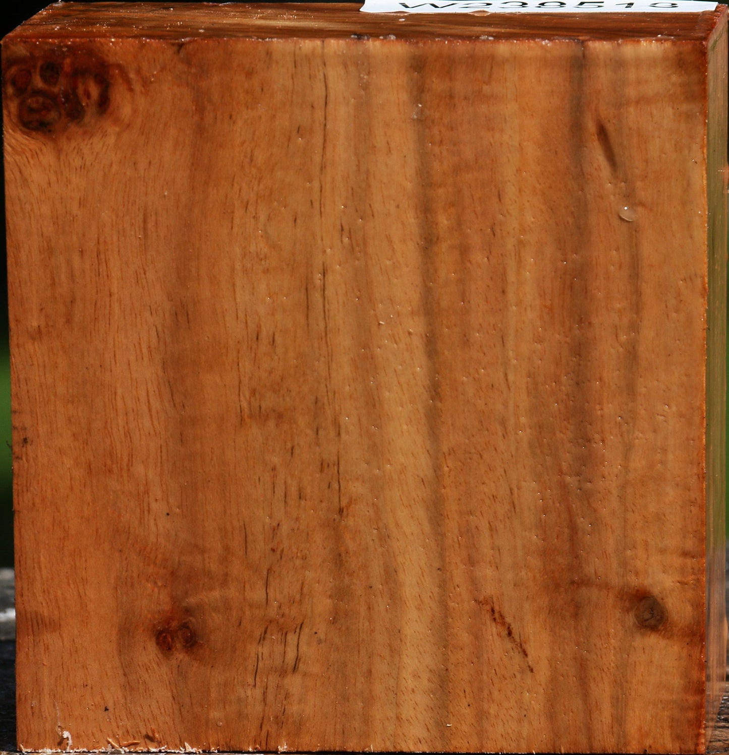 Figured Carob Bowl Blank