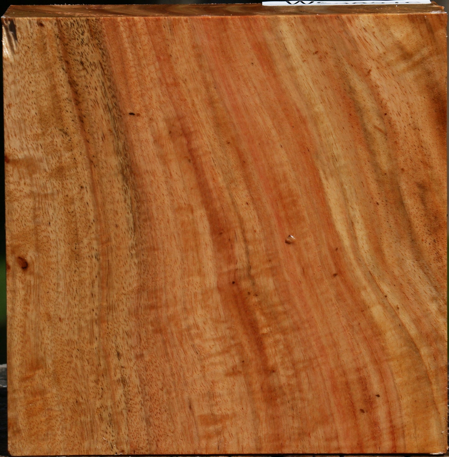 Extra Fancy Carob Bowl Blank