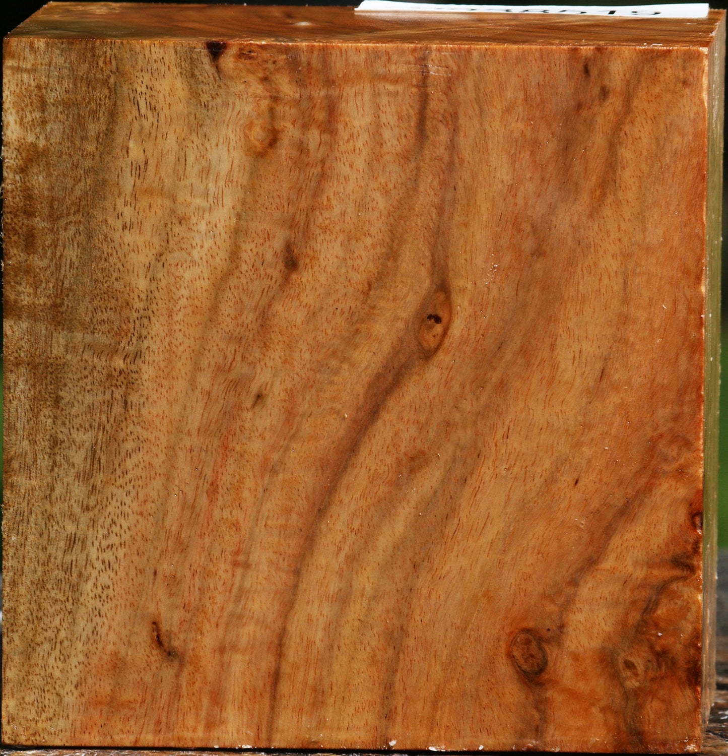 Figured Carob Bowl Blank