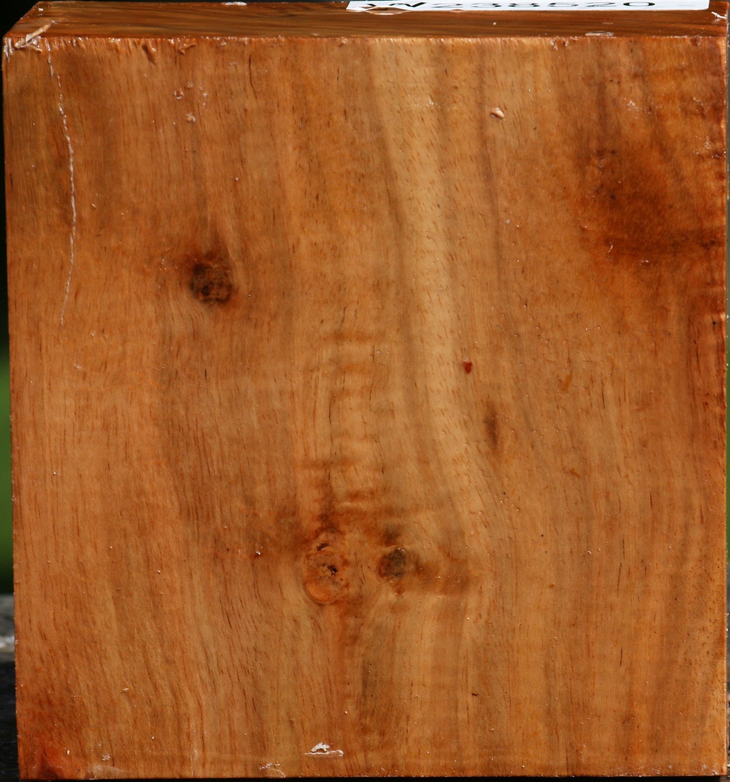Figured Carob Bowl Blank
