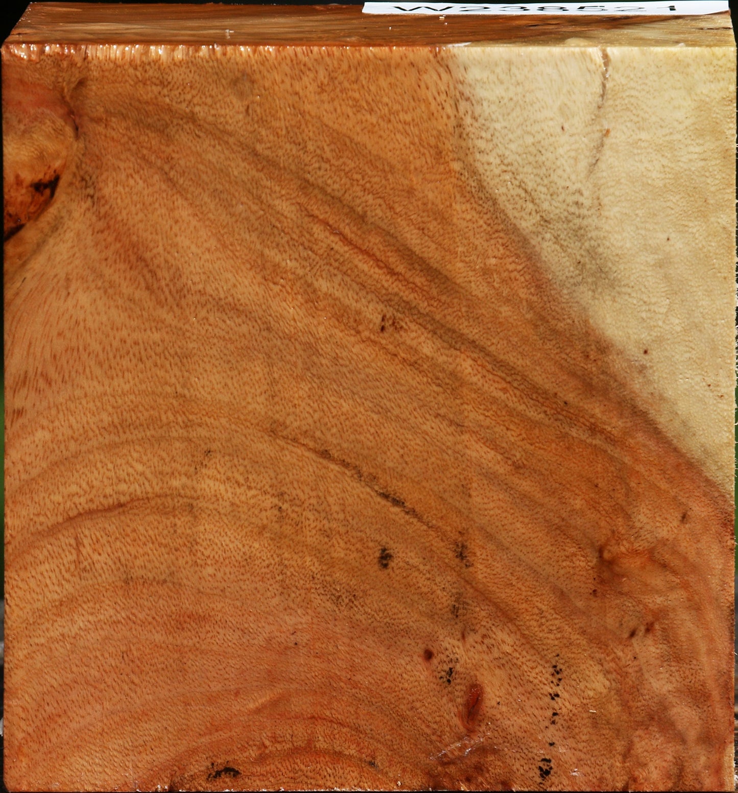 Figured Carob Bowl Blank