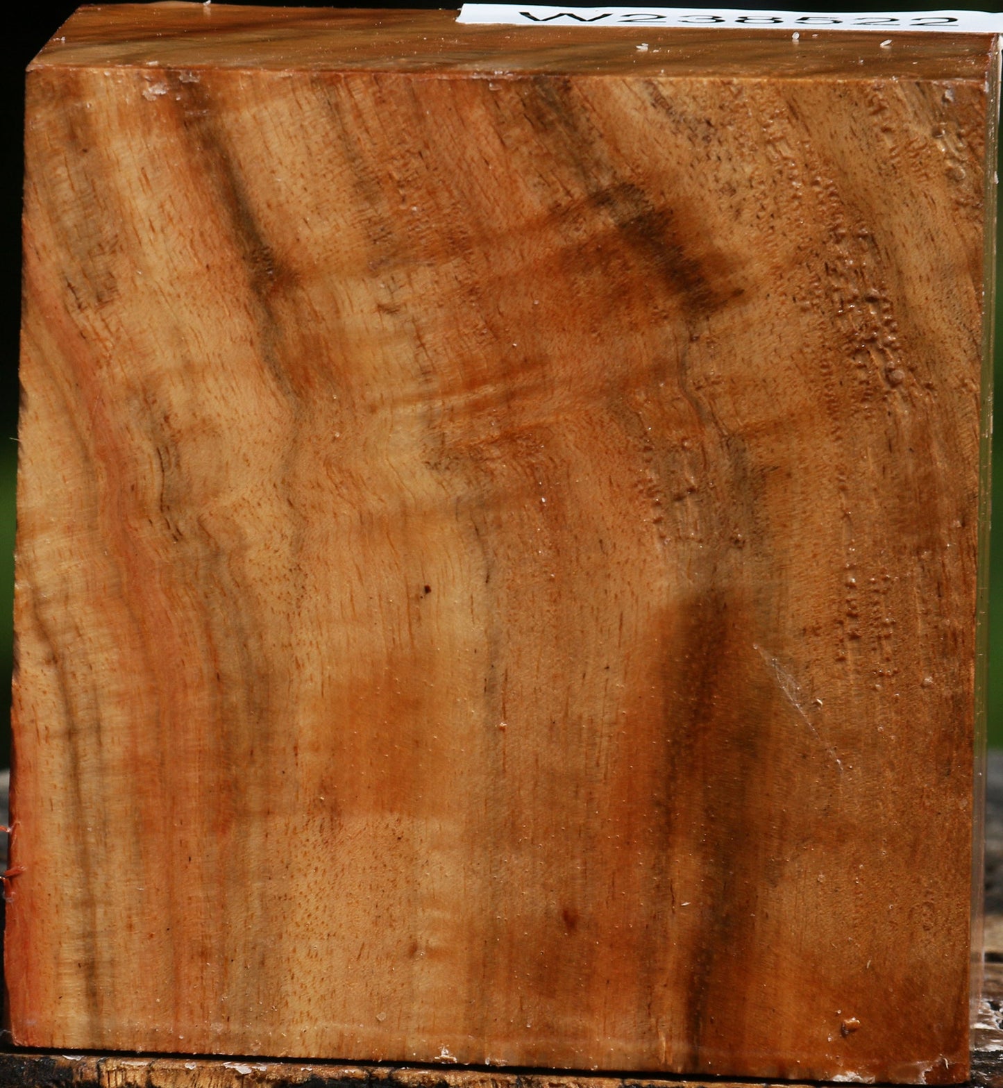 Extra Fancy Carob Bowl Blank