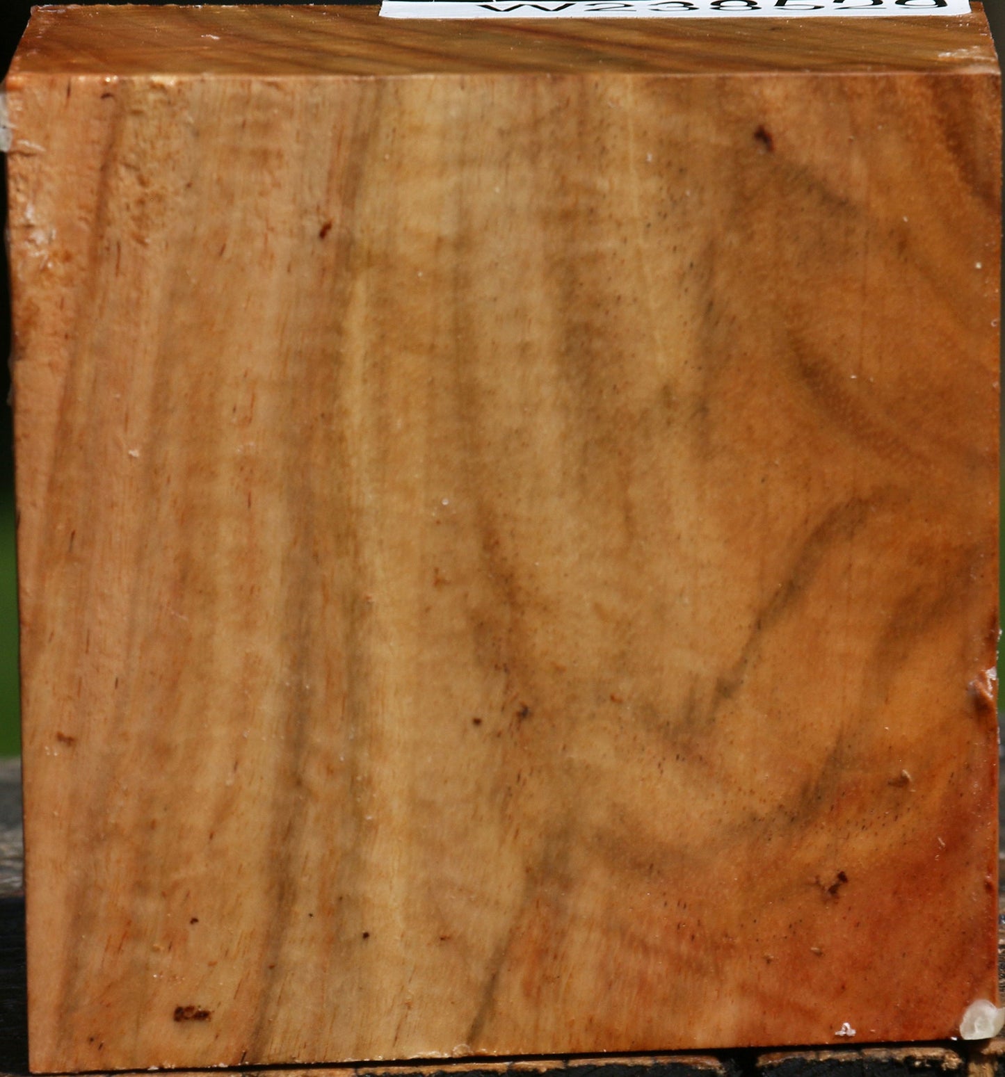 Figured Carob Bowl Blank